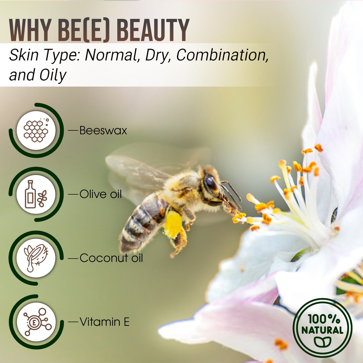 An infographic titled "Why Be(e) Beauty" for skincare, suitable for normal, dry, combination, and oily skin types. It features a honeybee on a flower and lists ingredients: beeswax, essential oils like olive oil and coconut oil, and vitamin E. A "100% Natural" icon is also included. Perfect as Mielbrut.com's Beeswax Balm: Moisturizer for lips, hands, feet and skin.