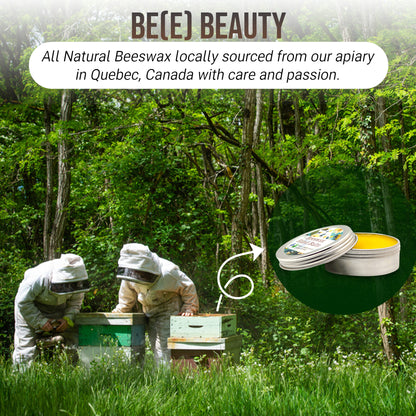 Two beekeepers tend to hives in a green forest. An inset shows Mielbrut.com’s Hydrating Beeswax Balm—made with locally sourced Quebec beeswax, perfect for natural relief of dry hands and lips.