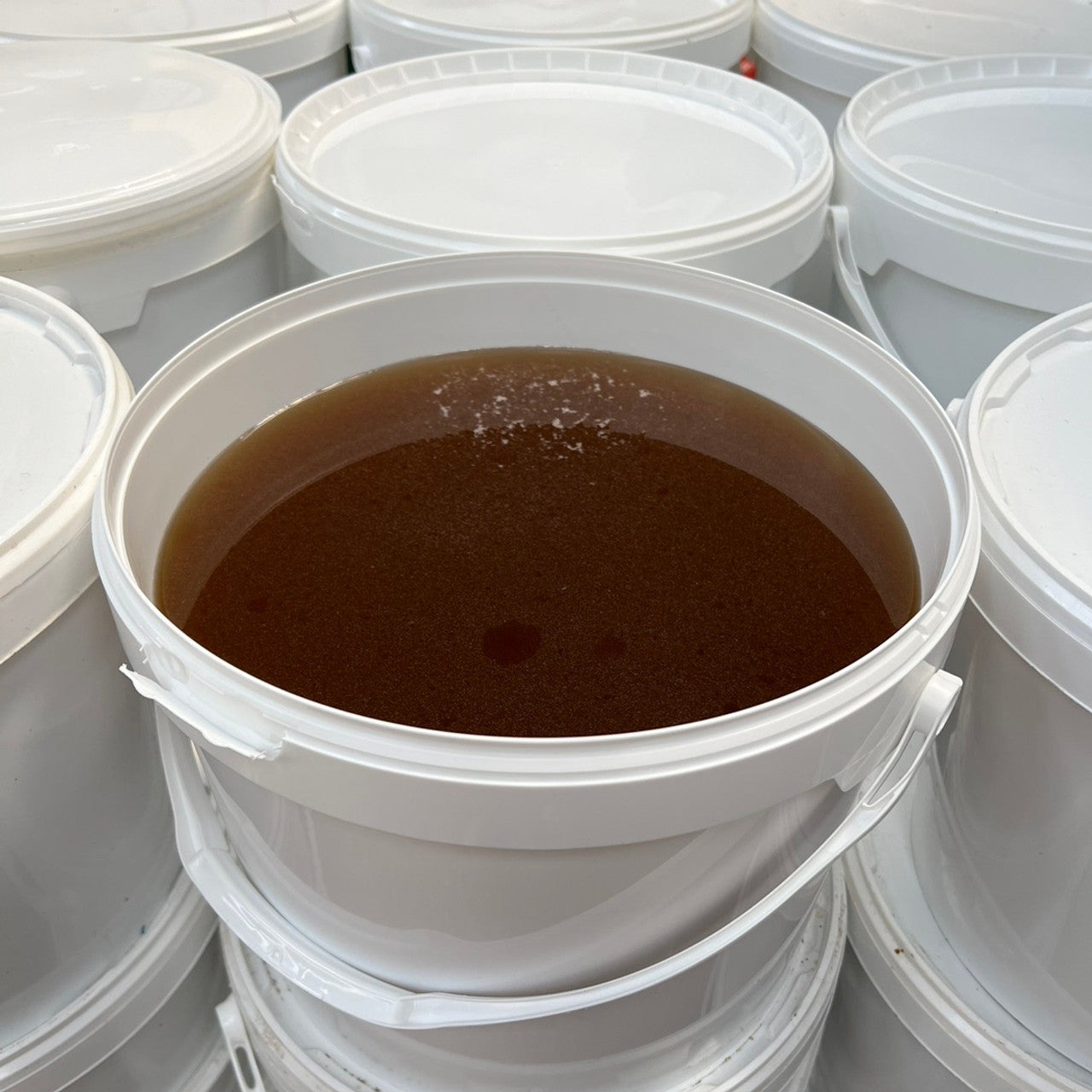 A white plastic bucket of Bulk Honey by the Bucket – Pure & Natural from Mielbrut.com, filled with dark golden-brown honey and surrounded by other closed white buckets.